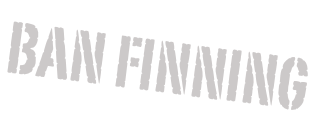 Ban Finning

